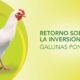 Retorno sobre la inversión (ROI): gallinas ponedoras