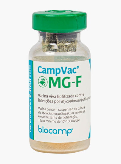 Vaccine | CampVac® MG-F