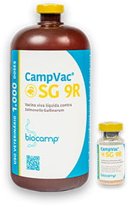 Tifo aviário: Vacina CampVac® SG9R: líquida e liofilizada