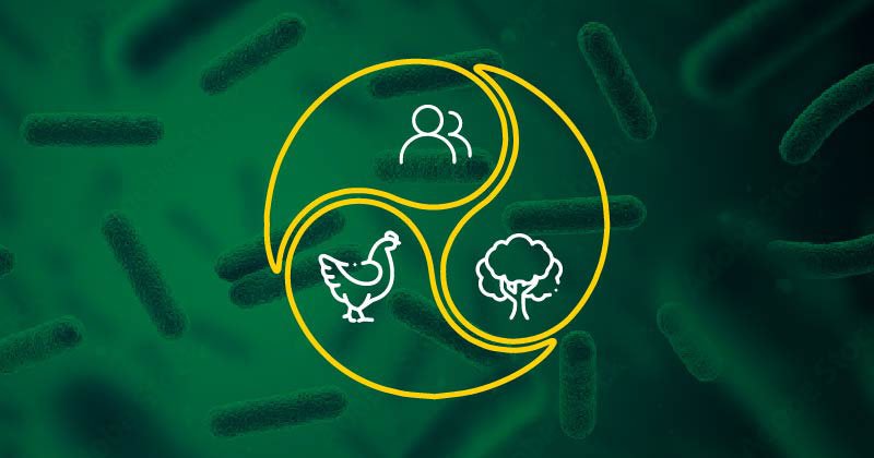 Rational use of antimicrobials in poultry production: how to bring science and the field together?