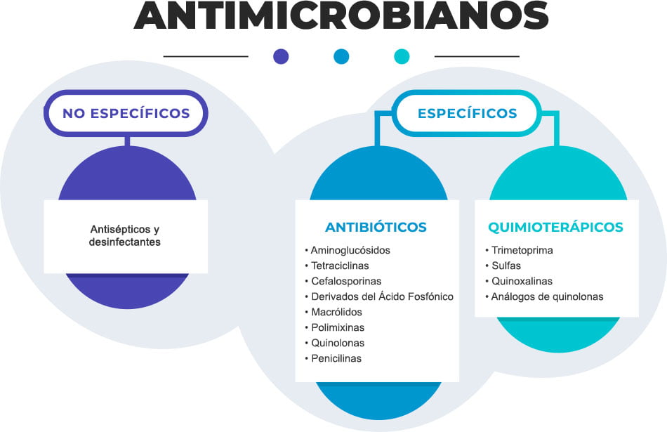 Antimicrobianos: lo que necesita saber