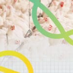 Síndromes respiratorios en la avicultura industrial: factores ambientales, etiología y medidas de control