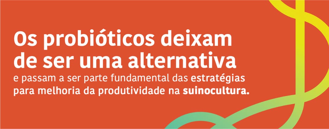 Probióticos na suinocultura: uma estratégia para reduzir o uso de antimicrobianos e aumentar a eficiência produtiva