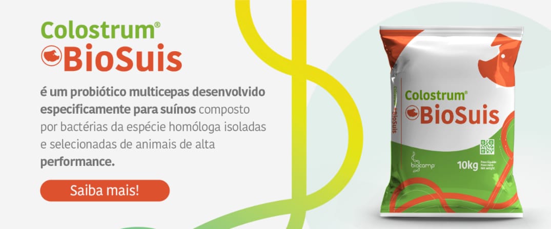 Probióticos na suinocultura: uma estratégia para reduzir o uso de antimicrobianos e aumentar a eficiência produtiva