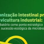 Colonização intestinal precoce na avicultura: o incubatório como ponto estratégico para a sucessão ecológica da microbiota.