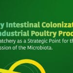 Early Intestinal Colonization in Industrial Poultry Production: The Hatchery as a Strategic Point for the Ecological Succession of the Microbiota.