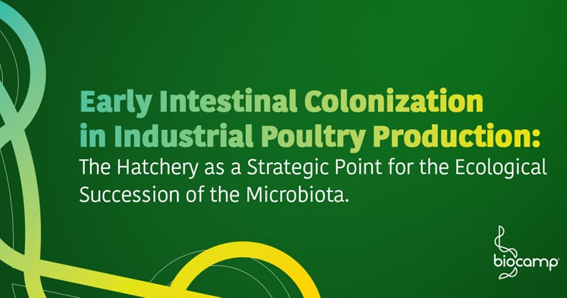 Early Intestinal Colonization in Industrial Poultry Production: The Hatchery as a Strategic Point for the Ecological Succession of the Microbiota.